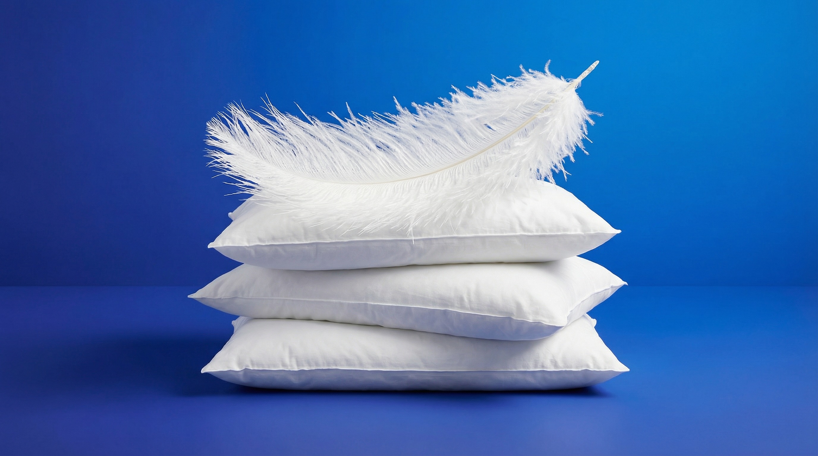 ������� ��������� �����